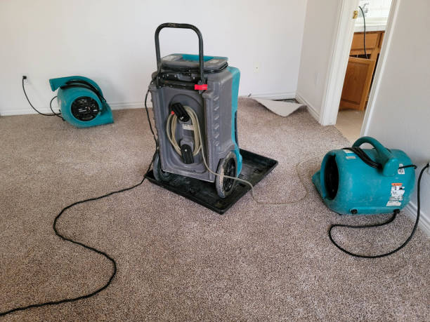 Professional Water damage restoration in Minooka, IL