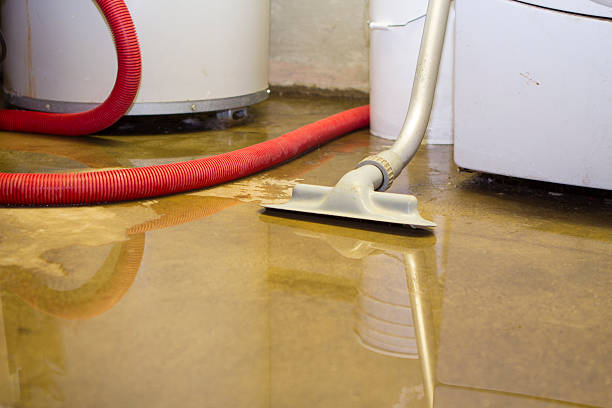 Best Water damage restoration near me  in Minooka, IL