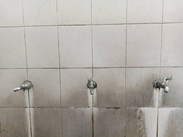 Best Carpet water damage restoration  in Minooka, IL