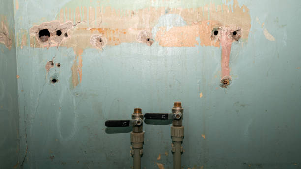  Minooka, IL Water damage restoration Pros