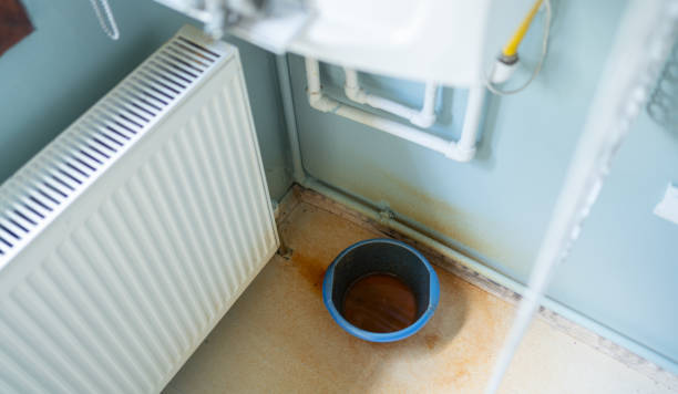 Best Flood restoration services  in Minooka, IL